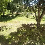 Daillu 3*
