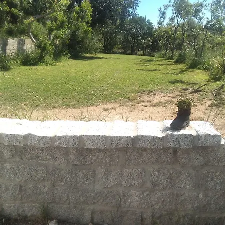 Daillu Bed & Breakfast