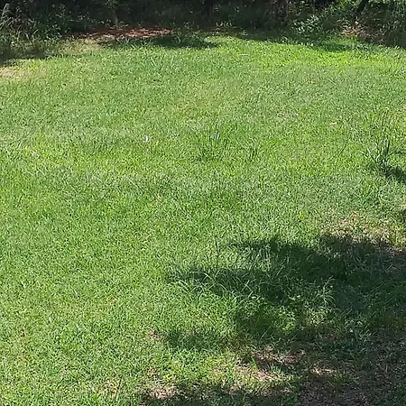 Nocleg ze śniadaniem Daillu