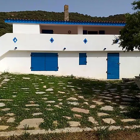 Daillu Όλμπια